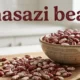 Anasazi Beans