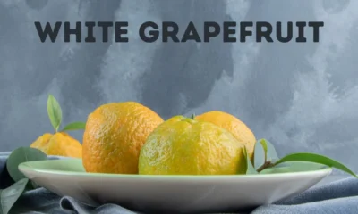 White Grapefruit