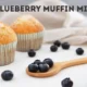 Blueberry Muffin Mix