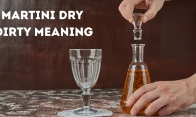 Martini Dry Dirty Meaning