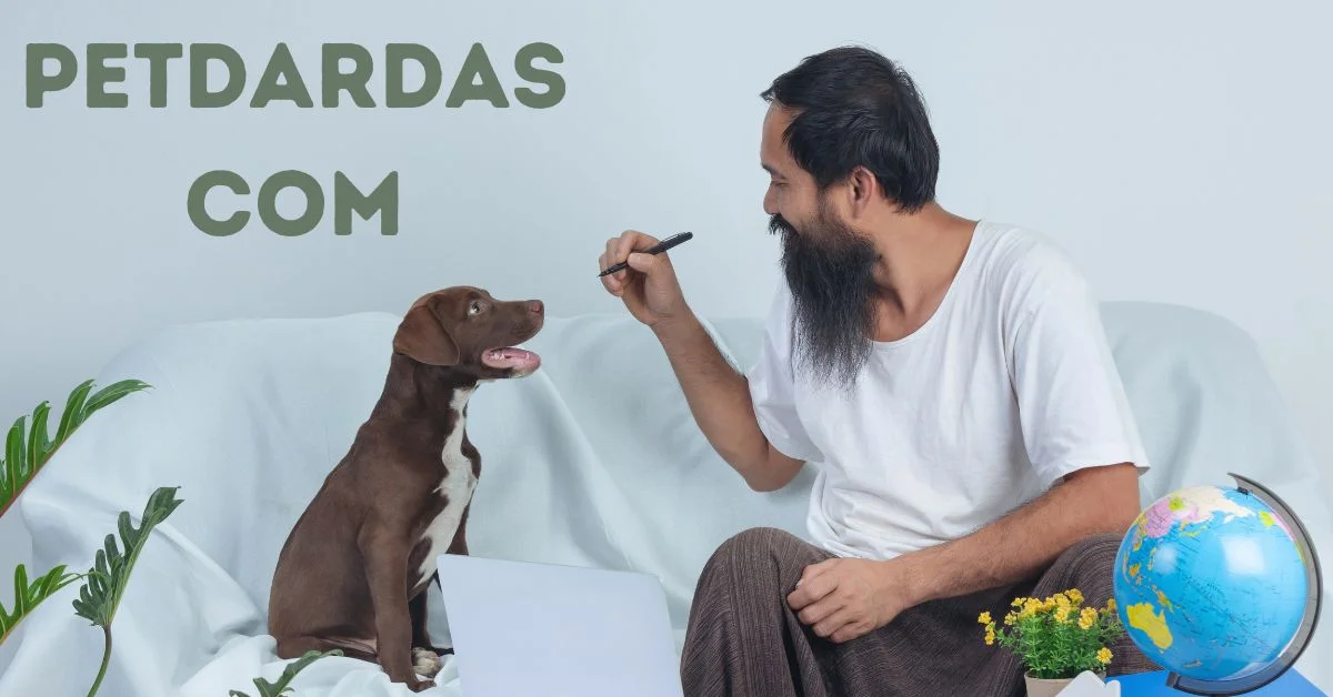 Petdardas com