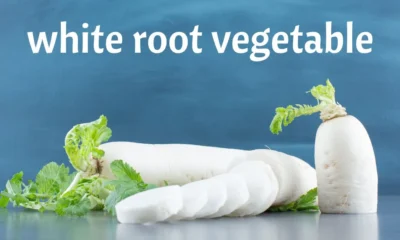 white root vegetable