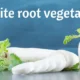 white root vegetable