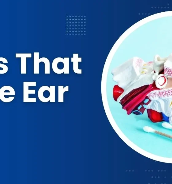 Foods That Cause Ear Wax