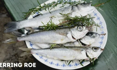 Herring Roe