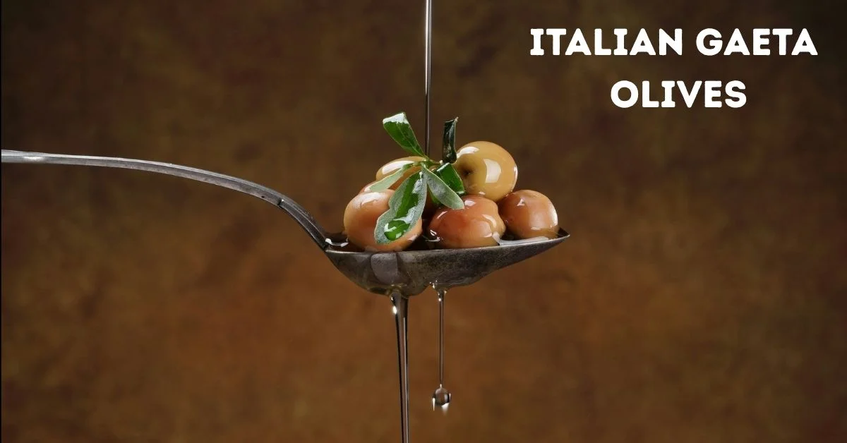 Italian Gaeta Olives